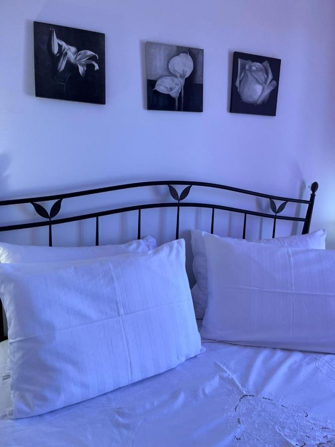Apartman Gorana With Swimming Pool Йелса Екстериор снимка